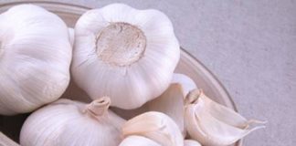 Tỏi - loại gia vị kéo dài sự trẻ trung 