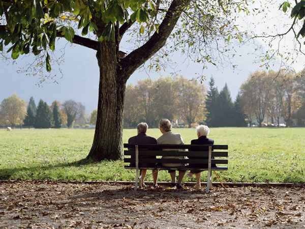 Những người bạn già ngồi ngắm cảnh trong công viên Interlaken, gần thủ đô Bern, Thụy Sĩ