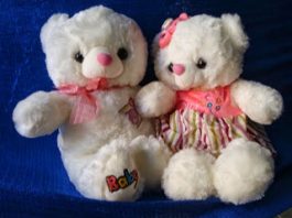 Cách làm thú bông đôi ngộ nghĩnh dành tặng nàng 20/10 - 1