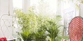 thiet-ke-nha-kinh-khong-gian-hien-dai-va-tinh-te-1