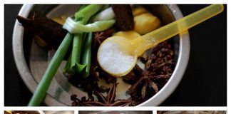 tom-luoc-kieu-moi-voi-que-va-hoa-hoi-1