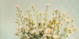 10 bí quyết tuyệt vời để sắm Tết thông minh và tiết kiệm - 1