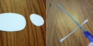 lam-chu-cuu-xinh-xan-tu-tam-bong-ngoay-tai-1