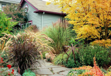 Sắc màu nghệ thuật trong decor vườn nhà