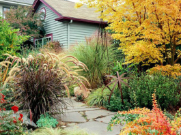 Sắc màu nghệ thuật trong decor vườn nhà