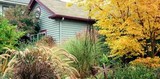 Cách decor vườn nhà theo sắc màu nghệ thuật Sắc màu nghệ thuật trong decor vườn nhà