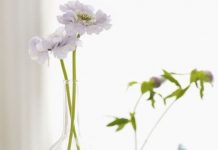 5 cách trang trí lọ hoa sáng tạo và độc đáo - 14