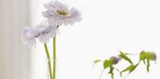 5 cách trang trí lọ hoa sáng tạo và độc đáo - 14