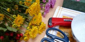 chi_em_kheo_tay_hoc_cach_cam_hoa_cuc_de_ban_dep_trang_tri_nha_0