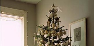 Chọn cây thông hoàn hảo cho Giáng sinh - 1