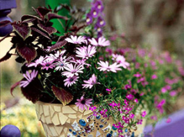 Mang vẻ đẹp mosaic vào vườn nhà