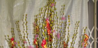 Gợi ý 3 cách cắm nụ tầm xuân đẹp ngày Tết - 1