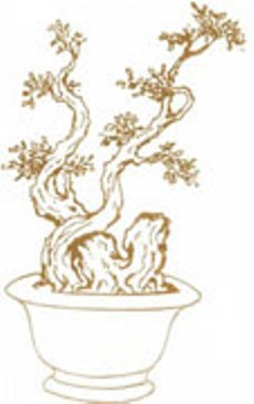 Chia sẻ một số thế bonsai đẹp từ nghệ thuật bonsai cổ Việt Nam 4