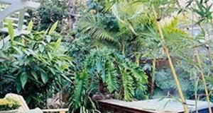 Hướng dẫn biến hiên nhà thành góc thư giãn 