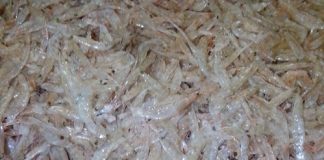 Cách-làm-mắm-tôm-tại-nhà-đậm-đà-hơn-ngoài-quán-1