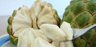 Kinh nghiệm chọn na ngon - 1