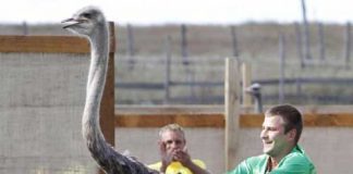 Những tour du lịch dựng tóc gáy - 1