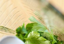 Salad ngon tuyệt với nước sốt chanh cốt dừa Salad ngon tuyệt với nước sốt chanh cốt dừa - 1