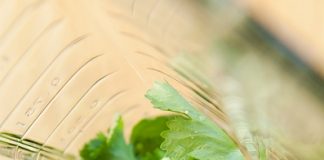 Salad ngon tuyệt với nước sốt chanh cốt dừa  - 1