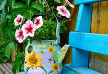 Bất ngờ góc xanh trong vườn từ những... vật dụng cũ - 1