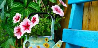 Bất ngờ góc xanh trong vườn từ những... vật dụng cũ - 1