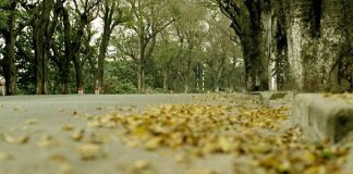 Bật mí 10 điểm đến lý tưởng cho ngày 20/10 - 1