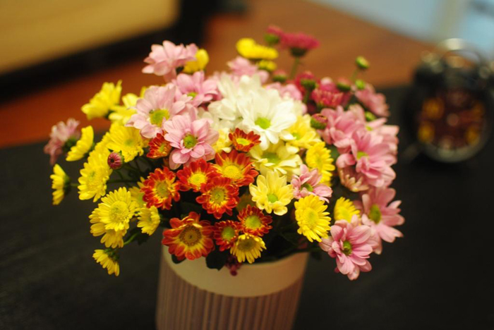 5 loại hoa đẹp ngày Tết tô điểm phòng khách đón xuân 9