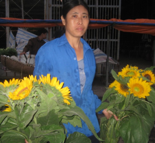 Quảng Bá - Phiên chợ của các loài hoa