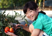 Bạn có thể tự thiết kế cho mình một khu vườn di động ở bất kì nơi nào, cho dù diện tích nhà nhỏ hẹp. Thậm chí chỉ cần một vài chậu cây trên ban công nhưng với sự khéo léo, bạn sẽ làm nên sức sống của thiên nhiên trong chính ngôi nhà  mình.