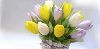 Học cách làm hoa tulip bằng giấy nhún ngậm kẹo tặng bạn 1