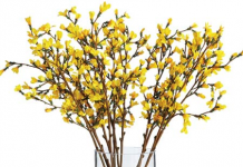 Tặng chị em chiêu cho bàn ăn đẹp