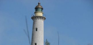 5 chốn chơi khó cưỡng ở Phú Yên - 6