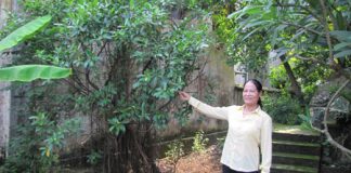 Ngọn núi chôn sống người đẹp ở Hà Nội - 1