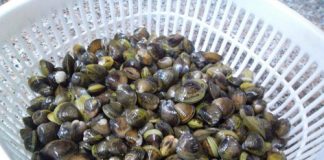 cach-nau-canh-rieu-hen-ngon-1