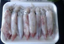 Mực chiên nước mắm thơm lừng góc bếp ngày hè - 1