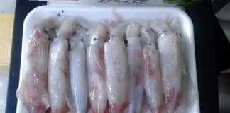 Mực chiên nước mắm thơm lừng góc bếp ngày hè - 1