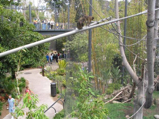 Vườn bách thú San Diego - 2