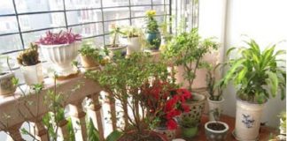 Bí quyết chọn hướng tốt cho ban công - 1