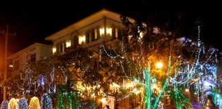 Hướng dẫn kỹ thuật giâm cành cây thân gỗ Trang trí đèn quanh nhà chào đón giáng sinh - 1