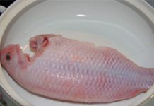 Cách làm món cá diêu hồng nướng thơm ngây ngất Cách làm món cá diêu hồng nướng thơm ngây ngất - 1