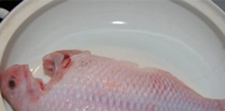 Cách làm món cá diêu hồng nướng thơm ngây ngất - 1