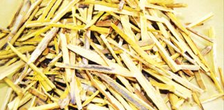 Những bài thuốc chữa đau đầu, Bài thuốc hay, Sức khỏe, thuoc chua dau dau, dau dau, benh dau dau, thuoc nam, thuoc nam chua dau dau,