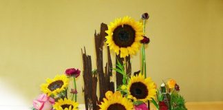 Hướng dẫn cắm hoa hướng dương tự nhiên