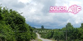 Lên Mộc Châu, ngất ngây mùa trẩy mận - 1