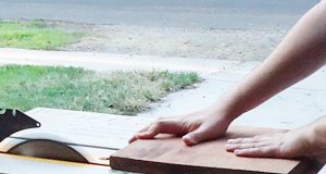 Hướng dẫn cách trồng cây treo tường cực hay Mách nhỏ cách trồng cây treo tường cực hay, Nhà đẹp, cay treo tuong, trong cay treo tuong, trong cay, cay trang tri, cay canh, nha dep