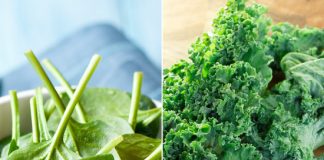 sinh-to-rau-bina-va-cai-xoan-giup-giam-can-1