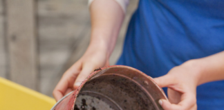 Tự trồng rau “xinh” bên cửa sổ