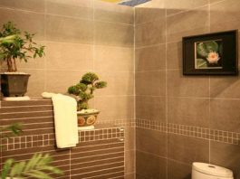 Những kiêng kỵ khi xây nhà vệ sinh - 1