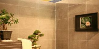 Những kiêng kỵ khi xây nhà vệ sinh - 1