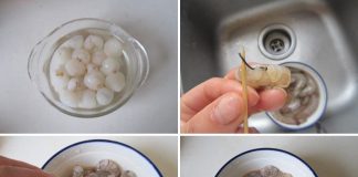 Tôm-xào-vải-rau-củ-ngọt-mát-đón-bữa-cơm-chiều-1